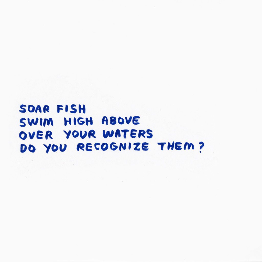 Blue hand written text: Soar fish. Swim high above over your waters. Do you recognize them?