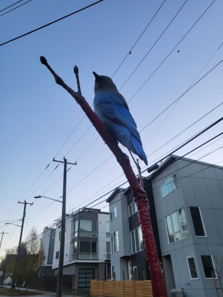A larger-than-life bluejay sits on top of an artful branch created by public artist Matthew Mazzotta.
