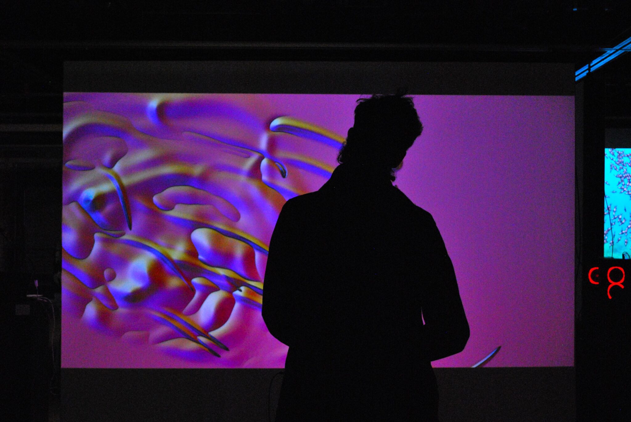 silhouette person standing in front of a pink projected video