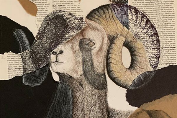 Collage drawing of ram on book page