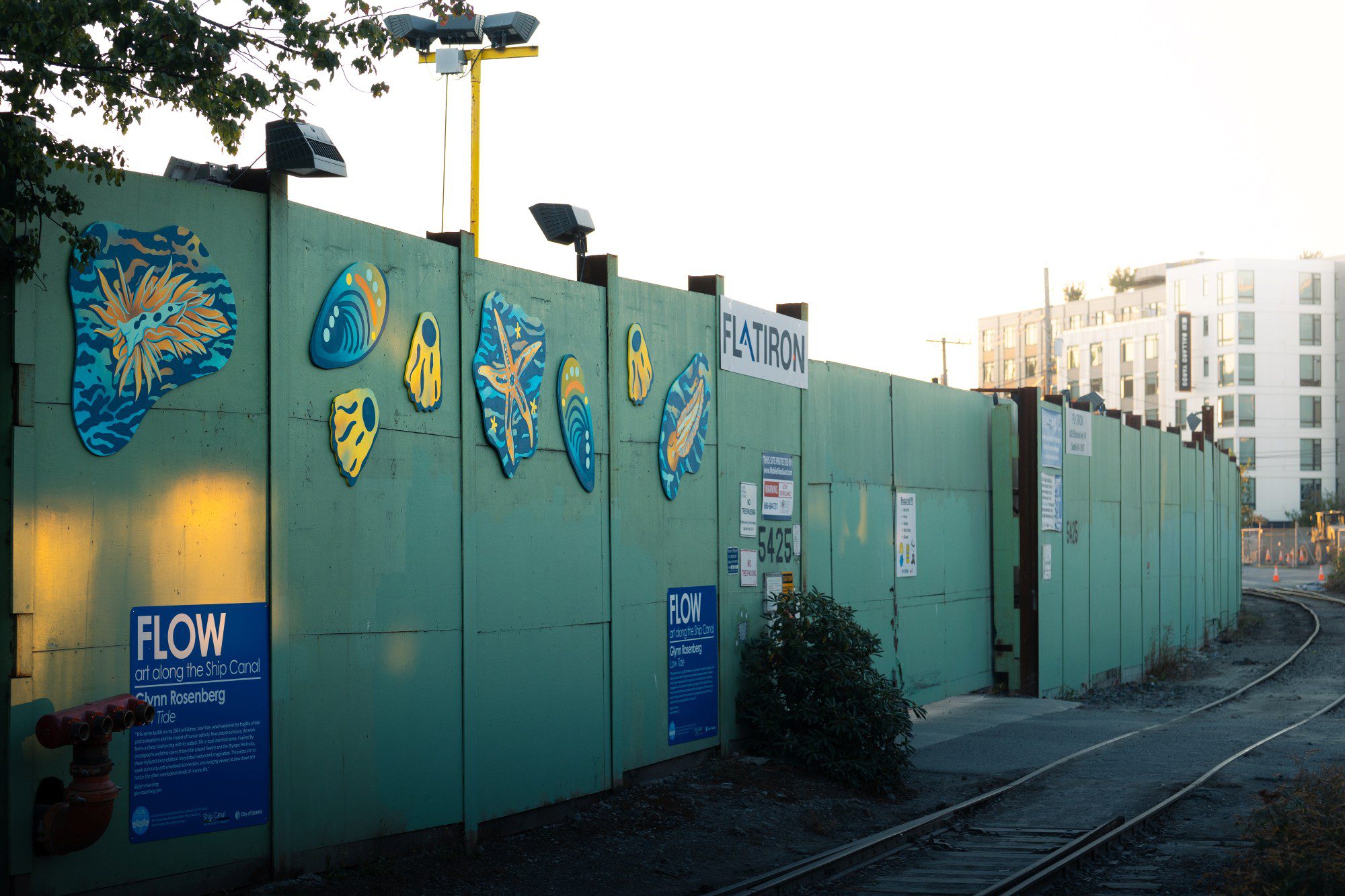 Colorful sea creature illustrations on a green metal fence outside.