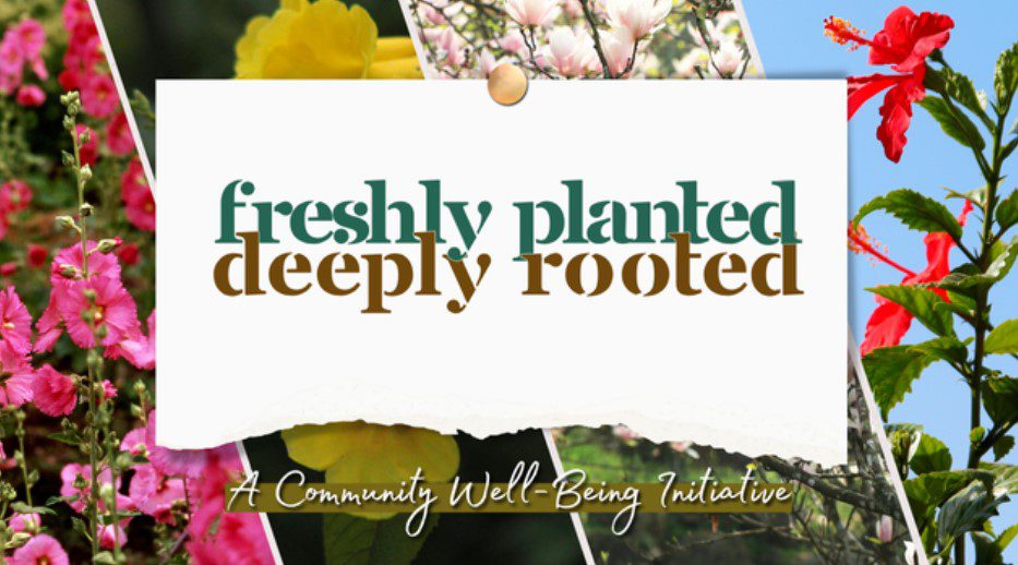 Photos of different flowers with overlaid text that reads "freshly planted, deeply rooted."